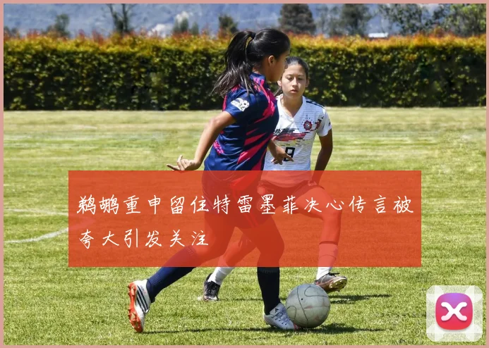 鹈鹕重申留住特雷墨菲决心传言被夸大引发关注