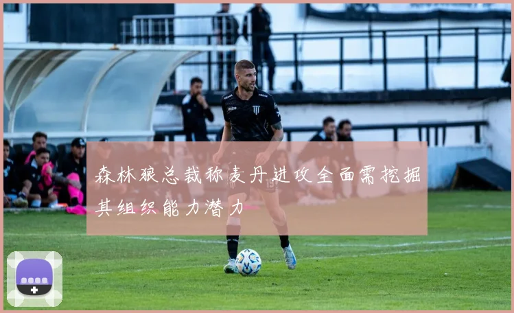 森林狼总裁称麦丹进攻全面需挖掘其组织能力潜力